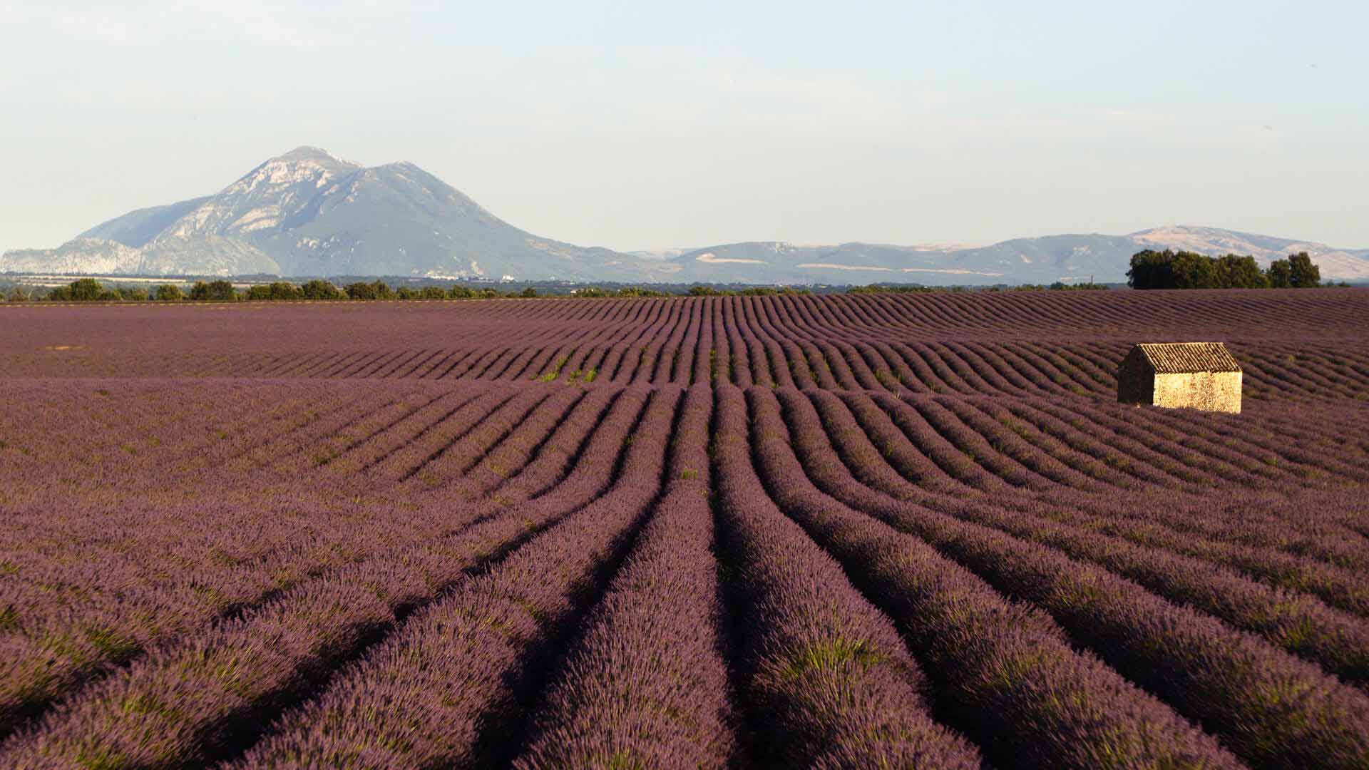 Entre Rhône, Ventoux, Alpes et Méditerranée